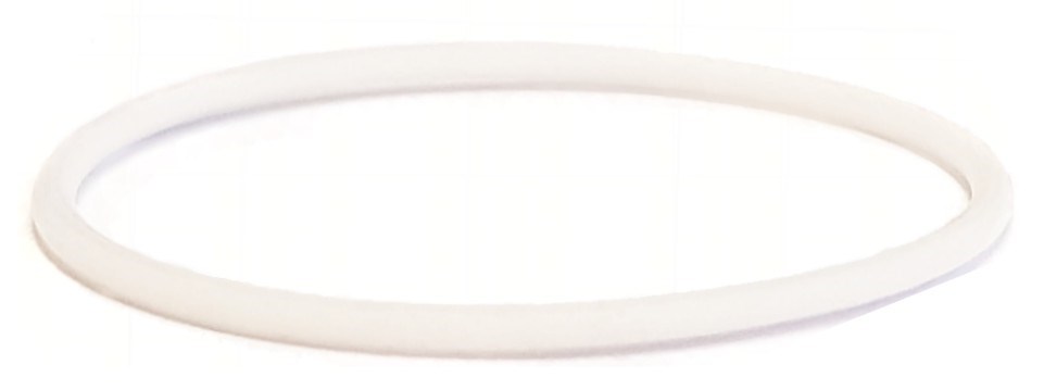 O-ring teflon